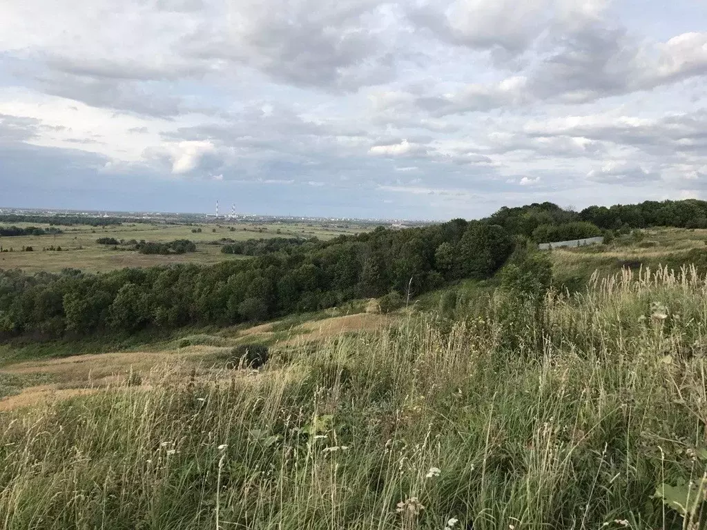 Участок в Нижегородская область, Богородский муниципальный округ, д. ... - Фото 2