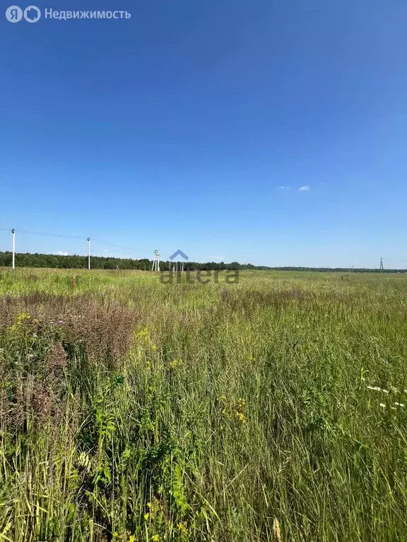 Участок в Лаишевский район, село Сокуры (6 м) - Фото 0