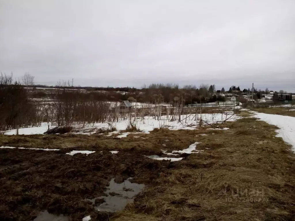 Участок в Вологодская область, пос. Васильевское  (10.0 сот.) - Фото 1