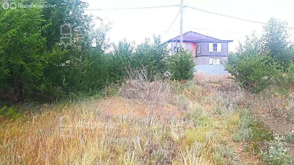 Участок в посёлок Царицын, садоводческое некоммерческое товарищество ... - Фото 0