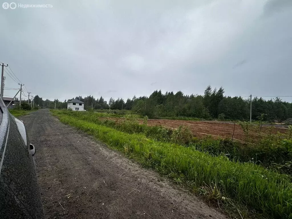 Участок в Вологодская область, Череповецкий муниципальный округ, ... - Фото 1