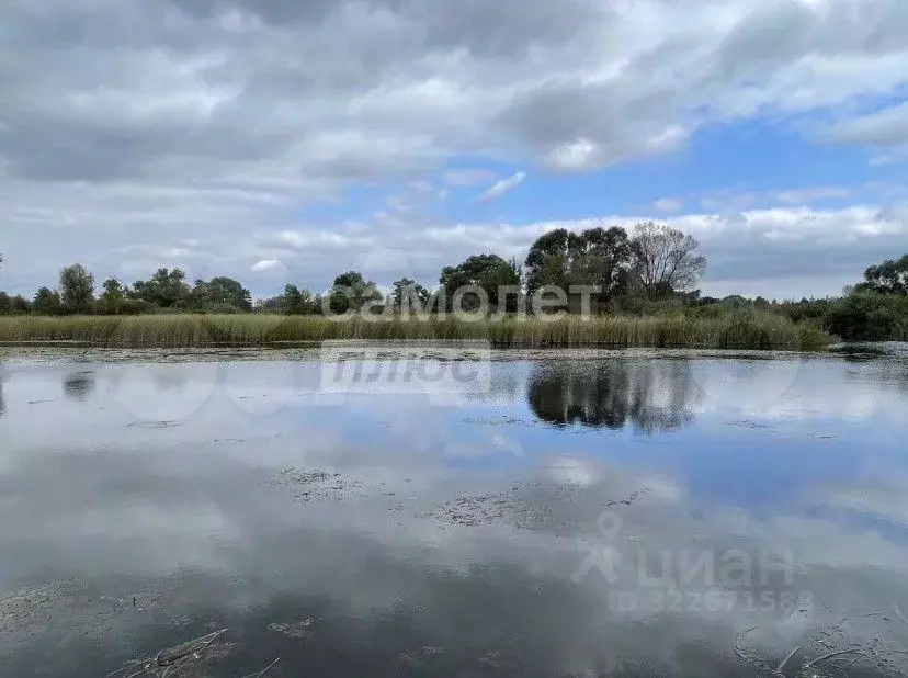 Дом в Самарская область, Сызрань Рыбацкая ул. (22 м) - Фото 1