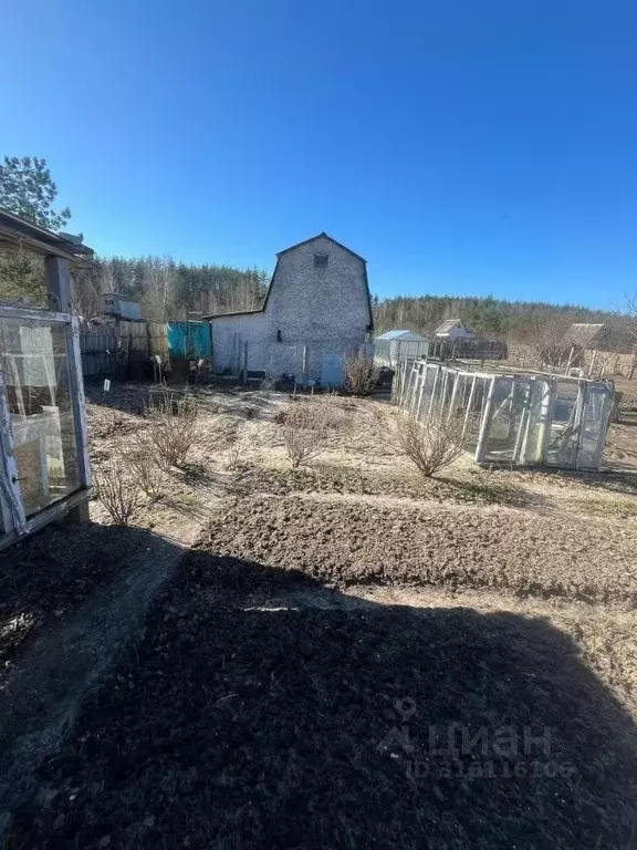Дом в Брянская область, Фокино Груша СТ,  (18 м) - Фото 1