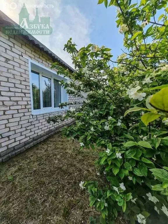 Дом в Смоленская область, Монастырщинский муниципальный округ, село ... - Фото 1