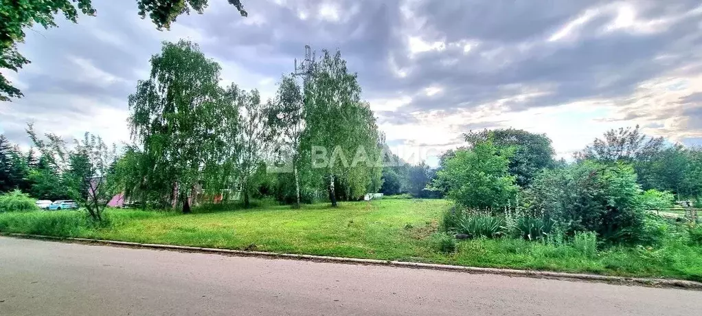 Участок в Воронежская область, Хохольский район, с. Новогремяченское ... - Фото 2
