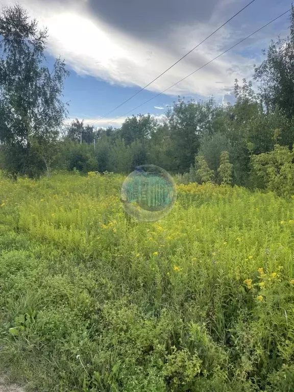 Участок в Московская область, Подольск городской округ, д. Яковлево ... - Фото 0