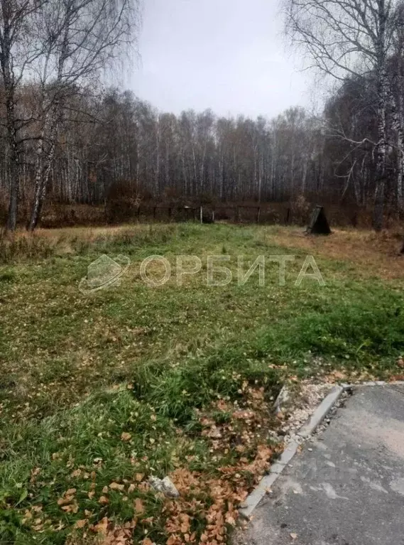 Участок в Тюменская область, Ялуторовский муниципальный округ, с. ... - Фото 1