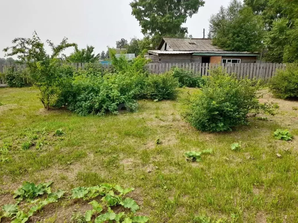 Дом в Амурская область, Ивановский муниципальный округ, с. Березовка ... - Фото 1