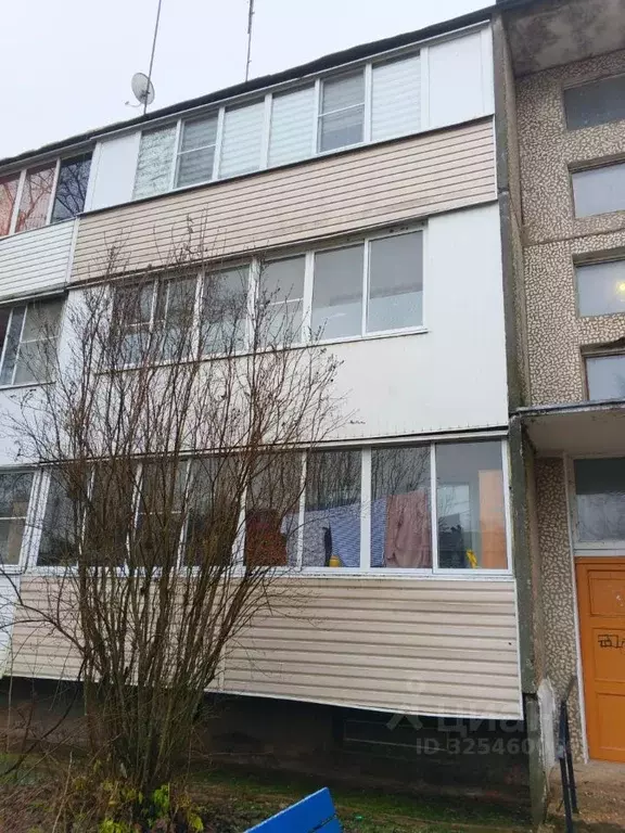 2-к кв. Московская область, Можайский муниципальный округ, д. Красный ... - Фото 1