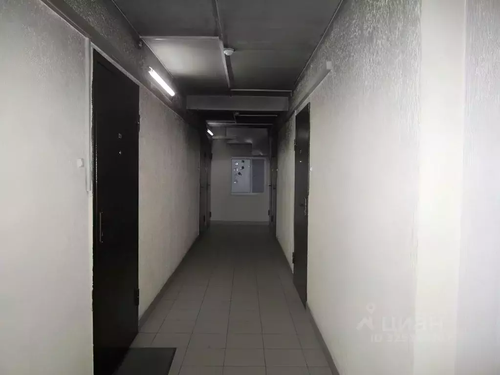 Студия Красноярский край, Красноярск Лесопарковая ул., 33 (19.8 м) - Фото 2