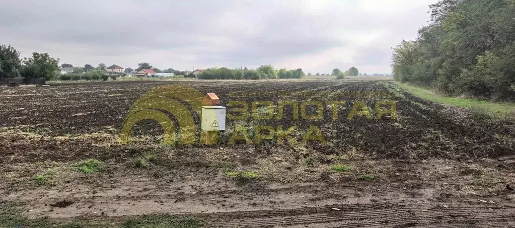 Участок в Краснодарский край, Анапа муниципальный округ, Иванов хут. ... - Фото 2
