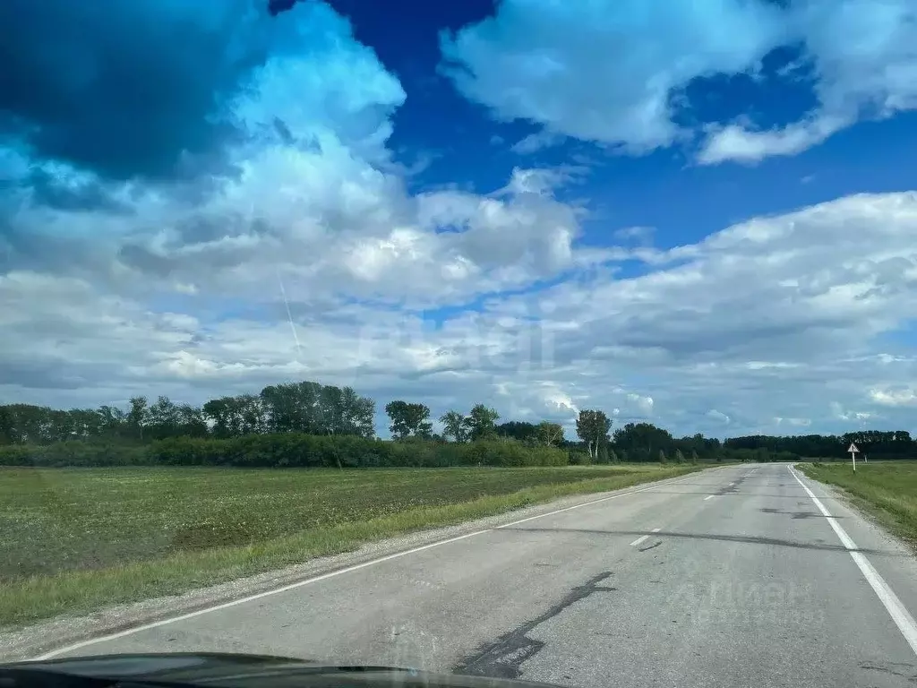 Участок в Новосибирская область, Колыванский район, д. Малый Оеш  (8.0 ... - Фото 2