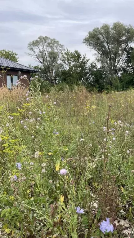 Участок в Татарстан, Лаишевский район, с. Егорьево ул. Кленовая (8.3 ... - Фото 1
