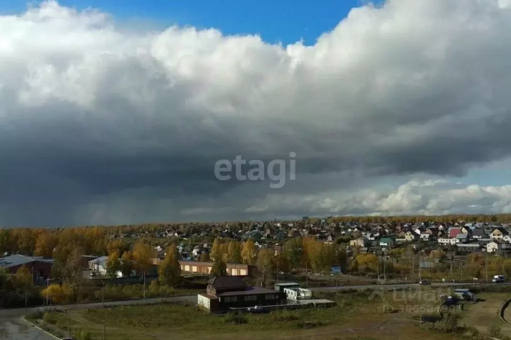 Участок в Новосибирская область, Новосибирский район, с. Раздольное  ... - Фото 1