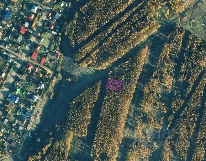 Участок в Владимирская область, Александровский муниципальный округ, ... - Фото 2