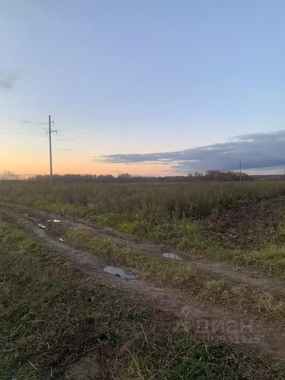 Участок в Московская область, Можайский городской округ, д. Ратчино  ... - Фото 1