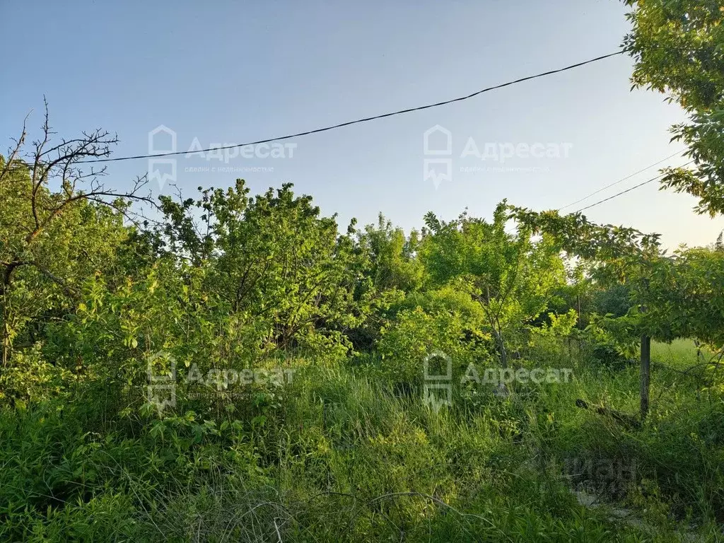 Дом в Волгоградская область, Волгоград Агат СНТ,  (43 м) - Фото 1