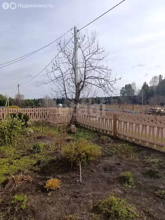 Дом в деревня Губино, Кедровая улица (65.9 м) - Фото 1