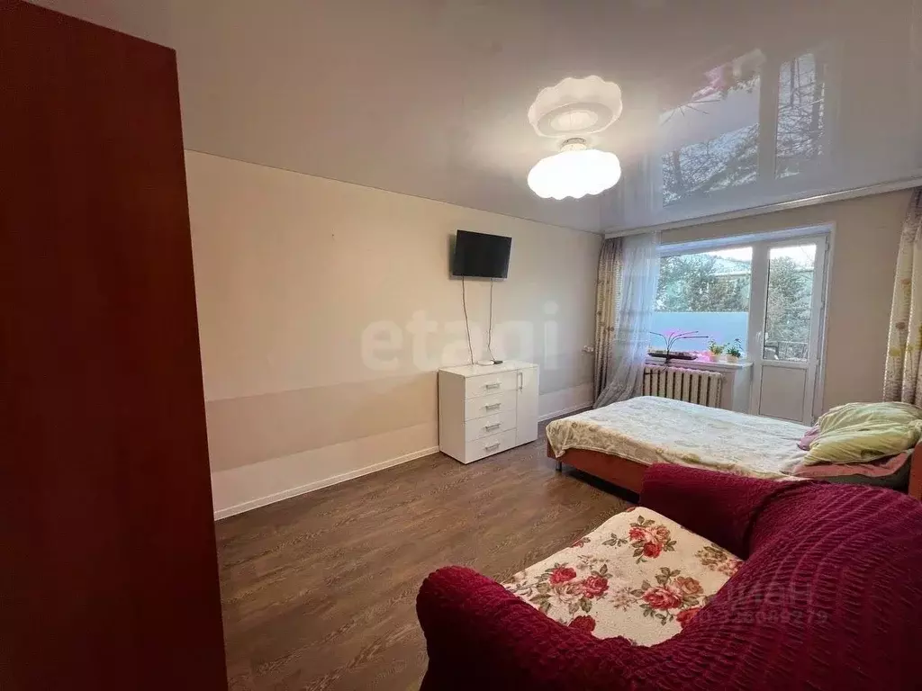 1-к кв. Камчатский край, Елизово ул. Ленина, 27А (30.2 м) - Фото 1