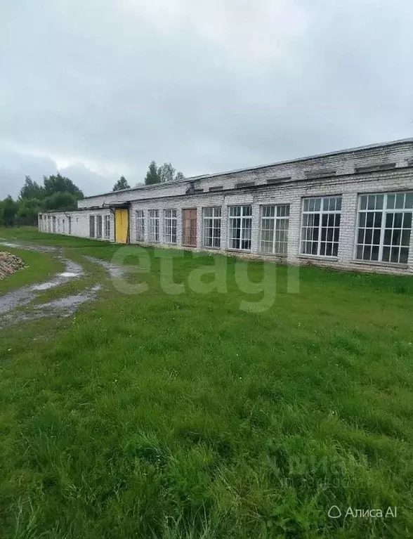 Склад в Тверская область, Кашин ул. Строителей, 7 (4000 м) - Фото 1