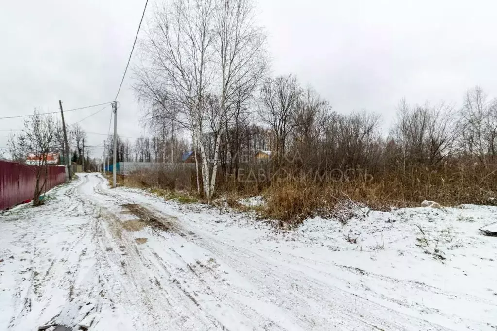 Участок в Тюменская область, Нижнетавдинский район, Фортуна СТ ул. 8-я ... - Фото 1