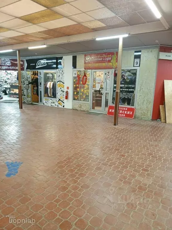 Торговая площадь в Калининградская область, Калининград ул. Профессора ... - Фото 2