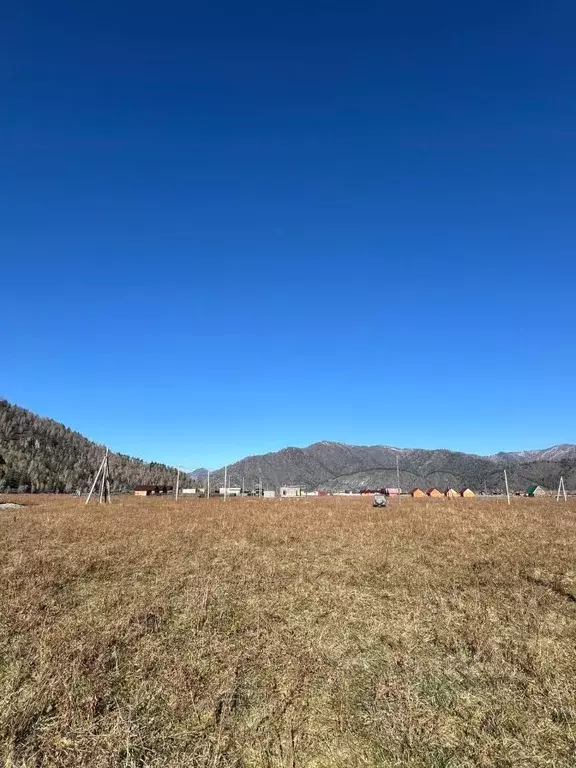 Участок в Алтай, Чемальский район, с. Анос Центральная ул., 41 (12.6 ... - Фото 2