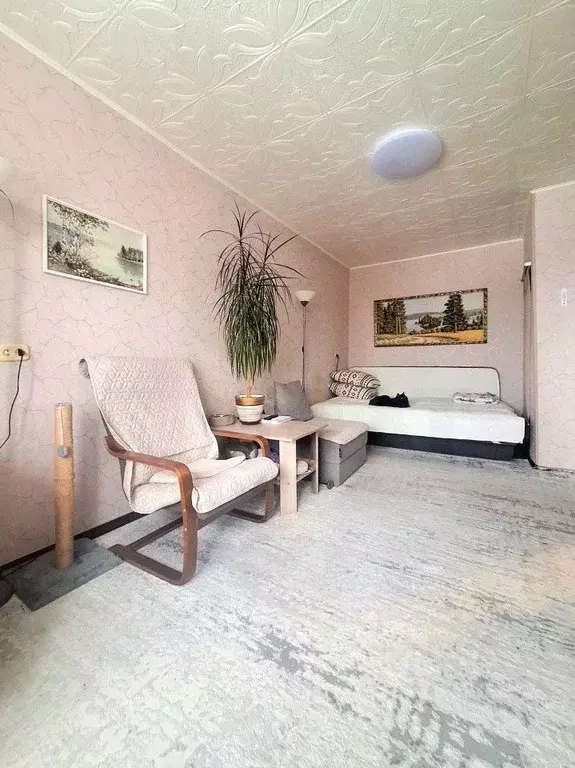 1-к кв. Свердловская область, Екатеринбург ул. Белоярская, 19 (29.9 м) - Фото 1