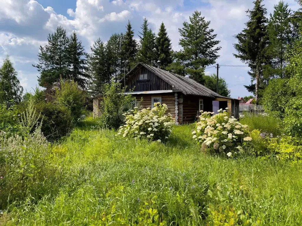 Дом в Вологодская область, д. Старое Село (Кубенский сельсовет) 7 (47 ... - Фото 1