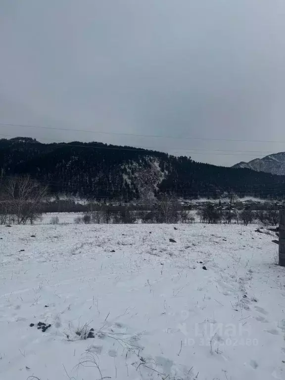 Участок в Алтай, Чемальский район, с. Анос Центральная ул. (11.0 сот.) - Фото 1