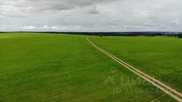 Участок в Нижегородская область, Балахнинский муниципальный округ, ... - Фото 1