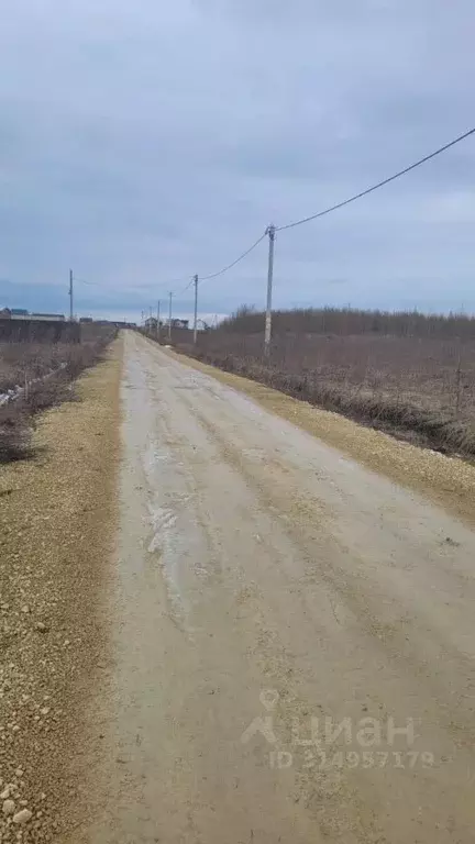 Участок в Ленинградская область, Ломоносовский район, Ропшинское ... - Фото 1