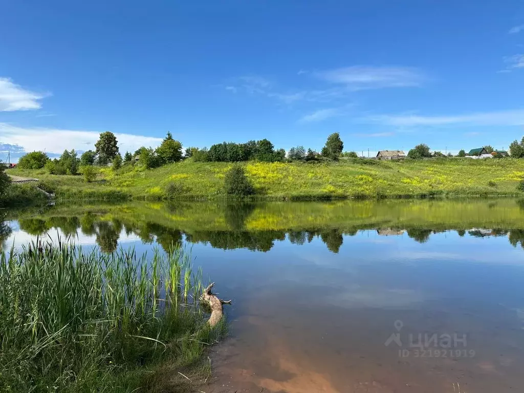 Участок в Пермский край, Пермский муниципальный округ, д. Большакино  ... - Фото 1