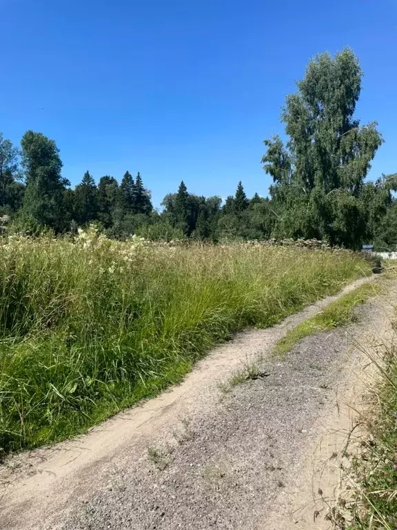Участок в Московская область, Клин городской округ, Оптимист СНТ 55 ... - Фото 1