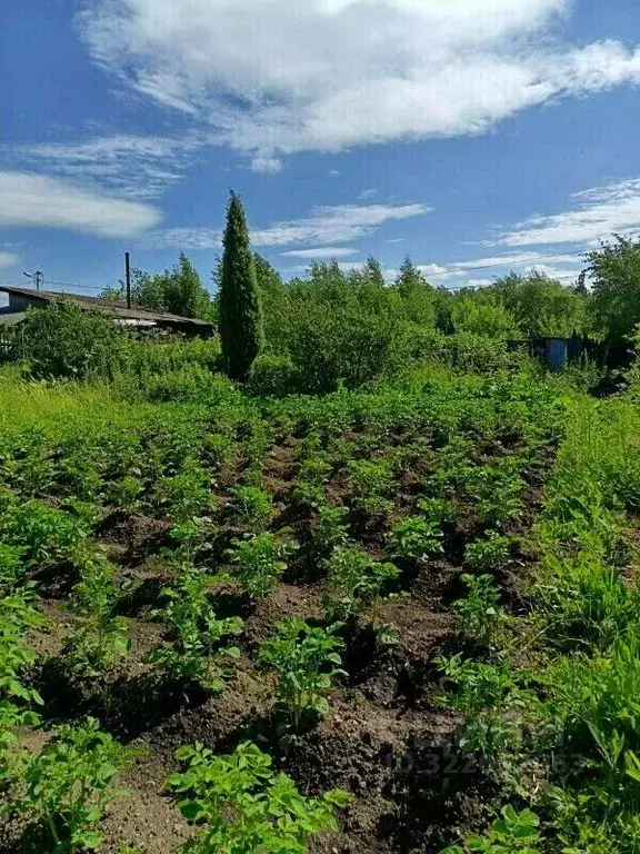 Участок в Свердловская область, Нижний Тагил ул. Шмидта (6.2 сот.) - Фото 1