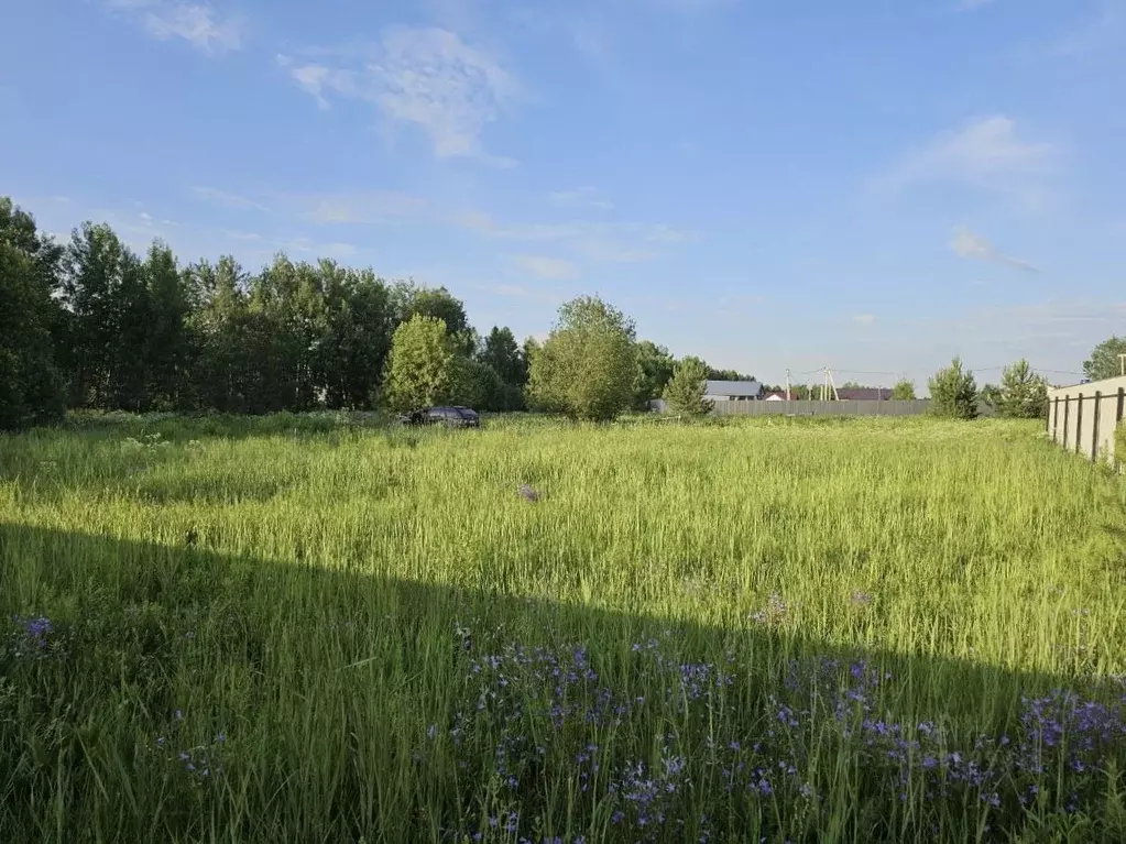 Участок в Московская область, Богородский городской округ, д. Калитино ... - Фото 1