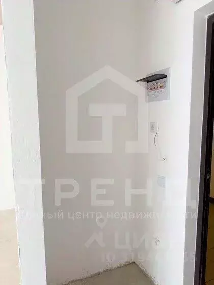Студия Ленинградская область, Мурино Всеволожский район, бул. ... - Фото 1