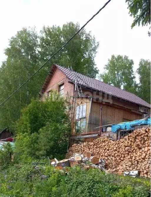 Дом в Новосибирская область, Новосибирский район, Каменский сельсовет, ... - Фото 1