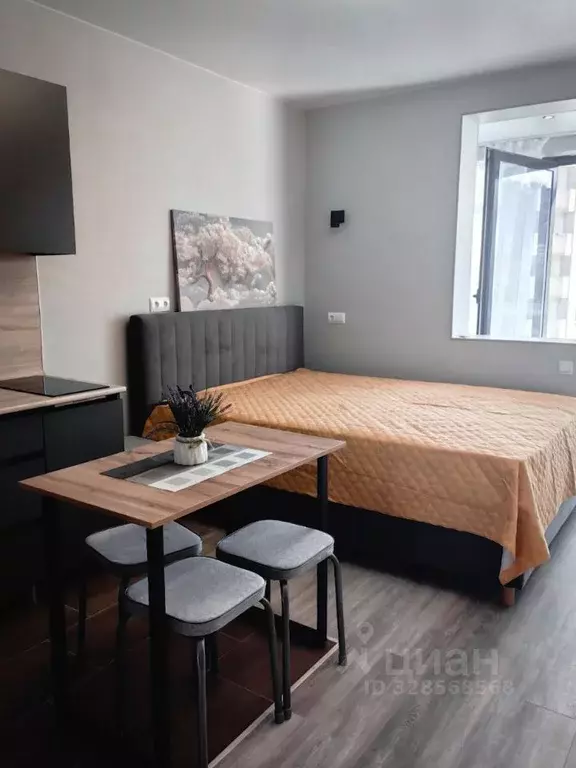 Студия Краснодарский край, Сочи Мацестинская Долина мкр, ул. ... - Фото 2