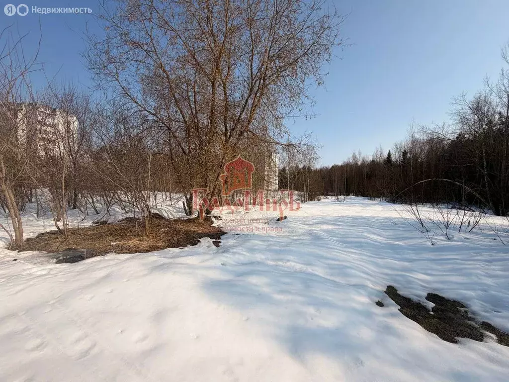 Участок в Пересвет, улица Строителей (6 м) - Фото 2