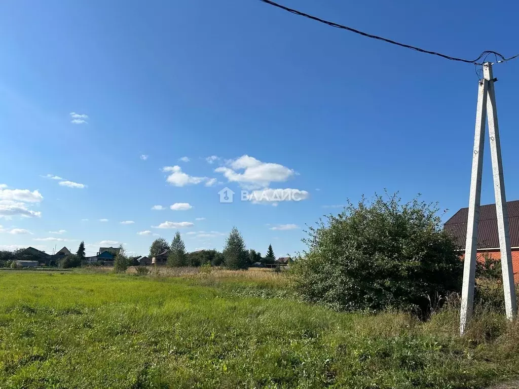 Участок в Пензенская область, с. Бессоновка ул. Борисовой, 53 (15.0 ... - Фото 2