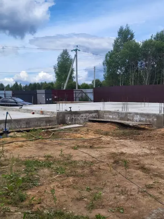 Участок в Владимирская область, Александровский муниципальный округ, ... - Фото 1