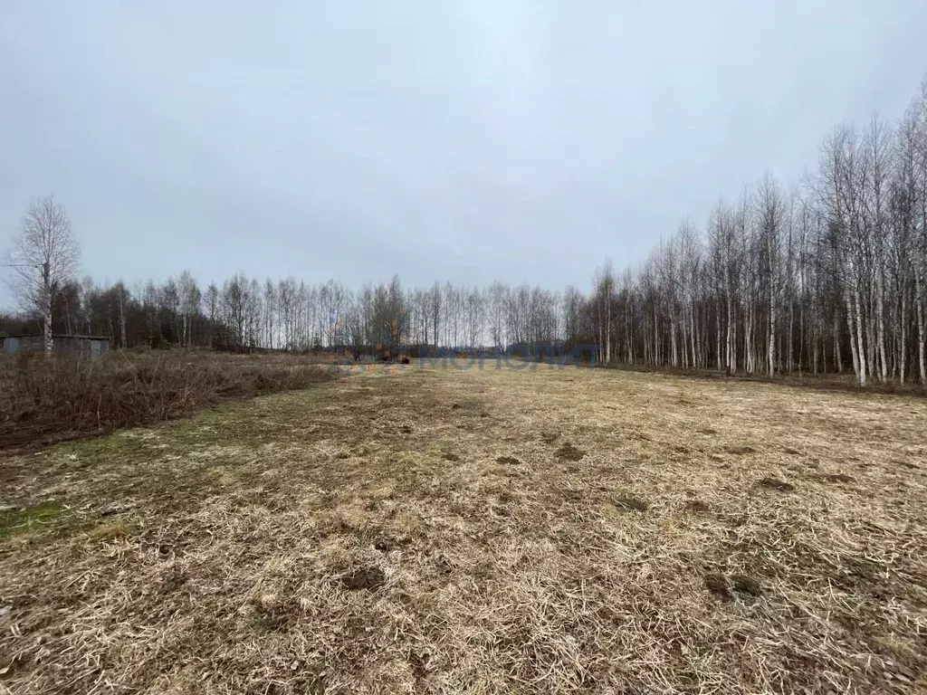 Участок в Нижегородская область, Городецкий муниципальный округ, с. ... - Фото 0