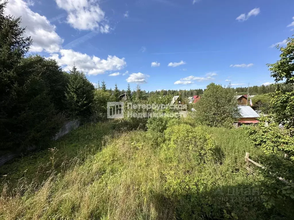 Участок в Ленинградская область, Волосовский район, Калитинское с/пос, ... - Фото 1