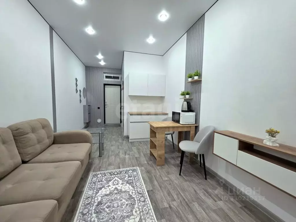 Студия Краснодарский край, Анапа ул. Поликарпова, 2к2 (20.0 м) - Фото 1