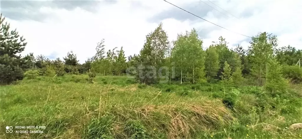 Участок в Владимирская область, Петушинский муниципальный округ, д. ... - Фото 1
