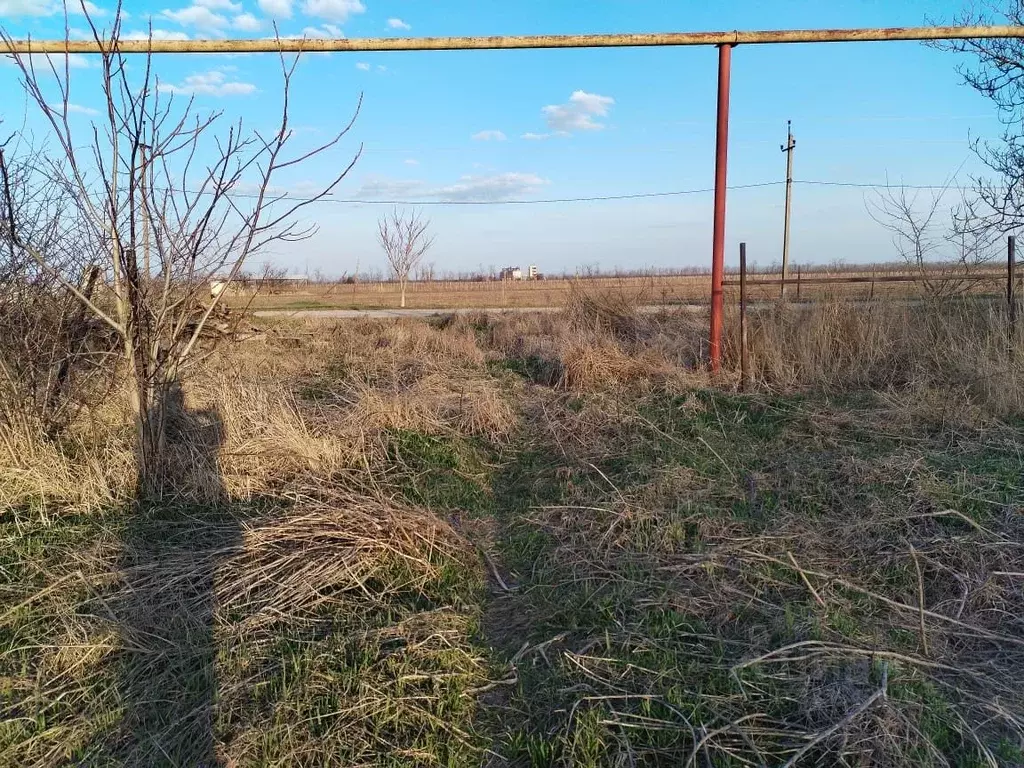 Участок в Краснодарский край, Ейский район, Должанская ст-ца Садовая ... - Фото 1