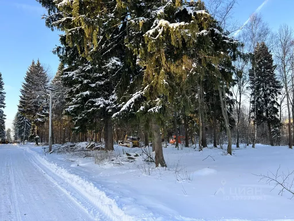 Участок в Московская область, Рузский муниципальный округ, пос. ... - Фото 2