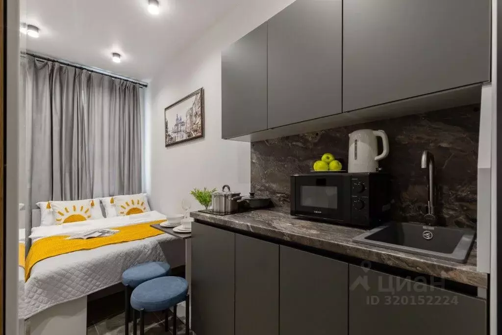 Студия Санкт-Петербург Бумажная ул., 22к2 (11.1 м) - Фото 0