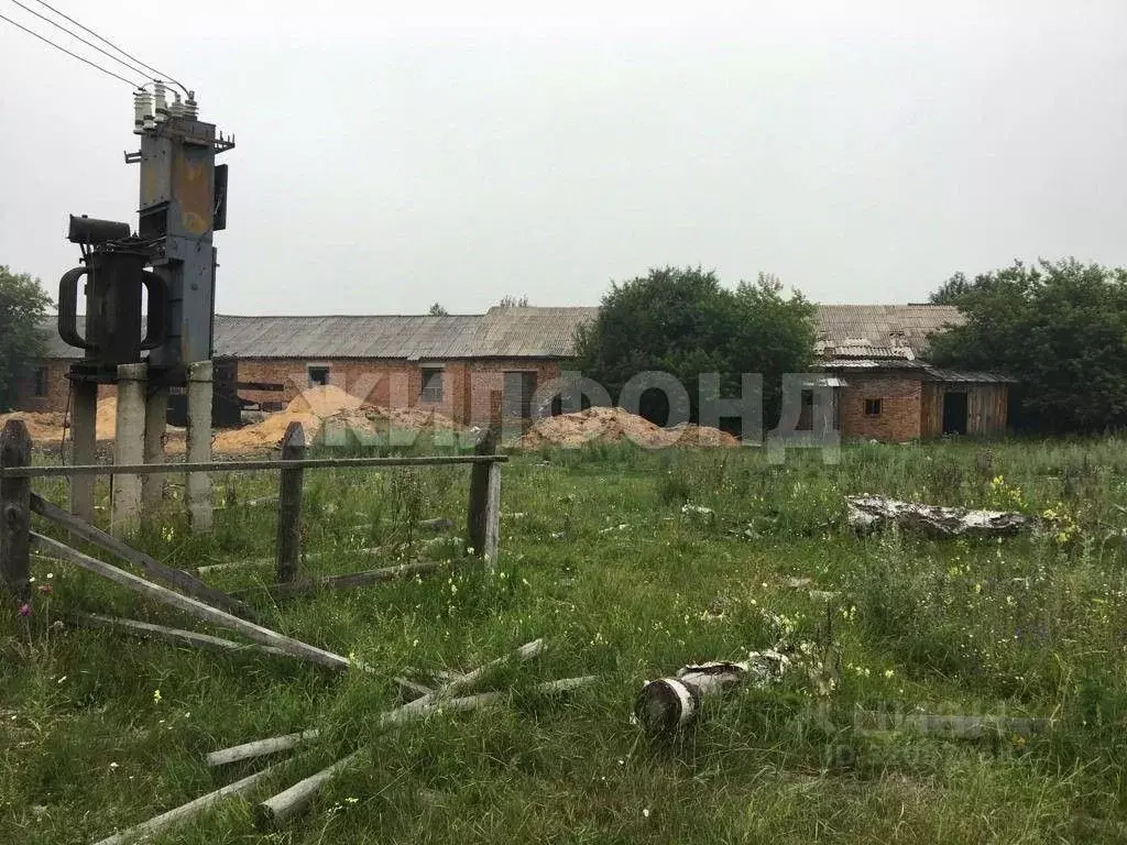 Производственное помещение в Новосибирская область, Ордынский район, ... - Фото 2